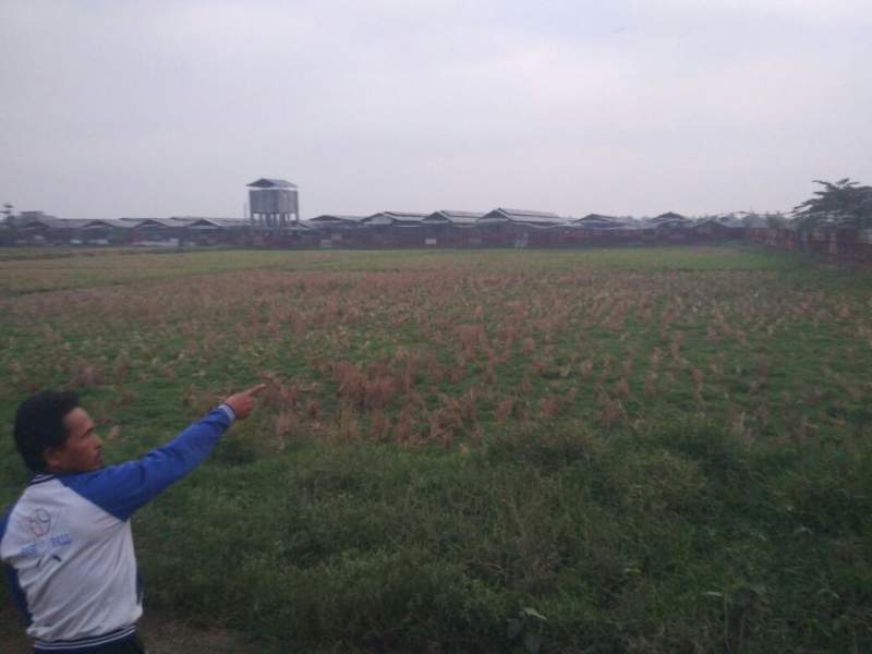 Situ Sitengin di Kecamatan Kemiri, Kabupaten Tangerang.