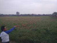 Situ Sitengin di Kecamatan Kemiri, Kabupaten Tangerang.