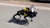 Robot Anjing patroli lockdown di Shanghai. (net)