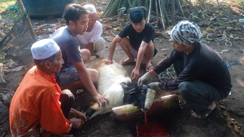 PWI Tangsel sembilih 5 ekor kambing kurban
