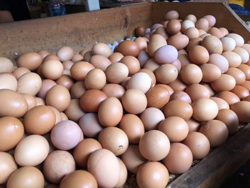 Ilustrasi Telur yang Dijual Pedagang Tangsel