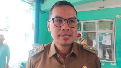 Wakil Walikota Tangsel, Pilar Saga Ichsan