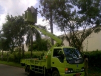 Nunggak Listrik, Dewan Tambah Anggaran DKPP Tangsel Sebesar Rp19 Miliar