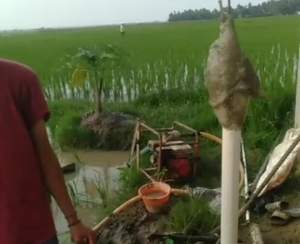 Semburan Lumpur Mengandung Gas Minyak Bumi Di.Desa Pekayon Kecamatan Sukadiri
