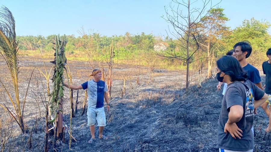 Ilalang Terbakar, Warga Desa Bunar Panik