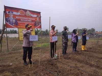 Kapolsek Balaraja Tanam Jagung Bersama