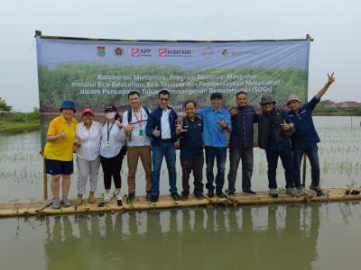 Kolaborasi Bersama dalam Penanam pohon Mangrove.