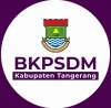 Soal Jabatan Fungsional, BKPSDM Dinilai Tidak Konsekuen
