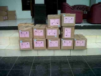 Kanwil Kemenag Banten Melakukan Pungutan Biaya Bongkar Muat