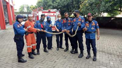 Masuk Rumah Warga, Ular Piton Ditangkap Petugas Damkar