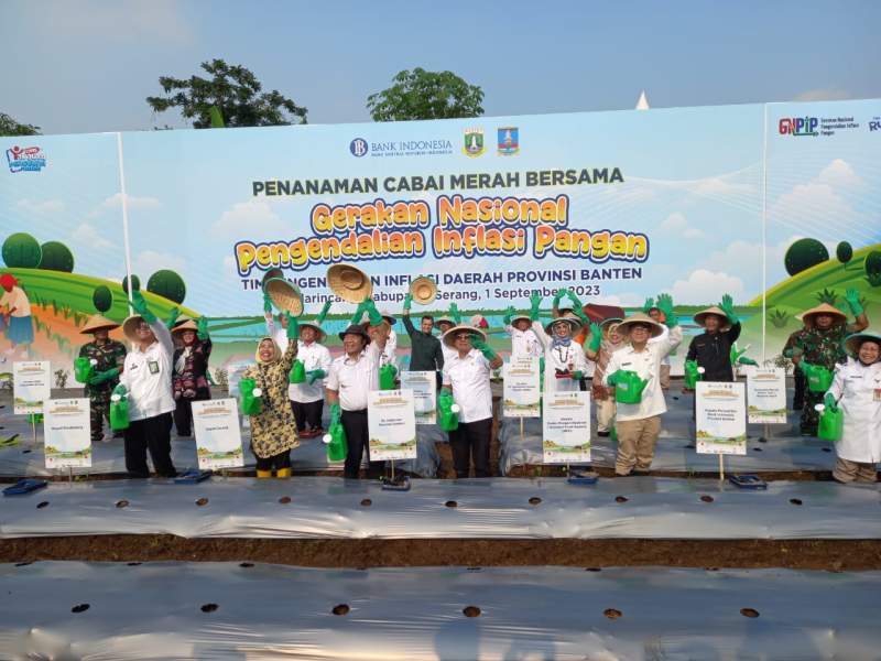 Tanam Cabai Wujud Gerakan Nasional Pengendalian Inflasi Pangan (GNPIP) Provinsi Banten 2023
