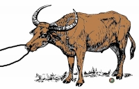 Benarkan Rakyat Bersikap Skeptis