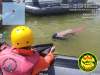 Tim SAR gabungan saat mengevakusi jasad Asrul mengapung di sungai Silau, Asahan