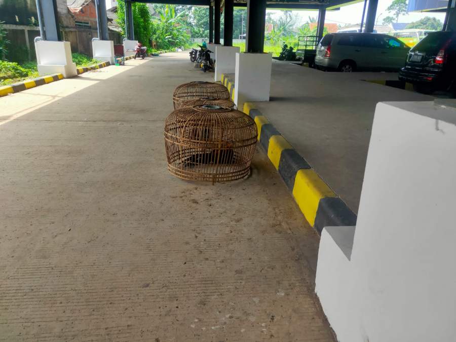 Keren, Terminal Tipe A Pondok Cabe Pampang 'Ayam Jago'