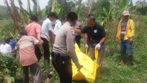 Seorang Mayat Lelaki Ditemukan di Area Kebun Milik Anggota DPR RI   