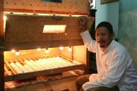 PKBL PT. Krakatau Steel Bina Peternak Bebek Beromset 1,2 Milyar Per Tahun