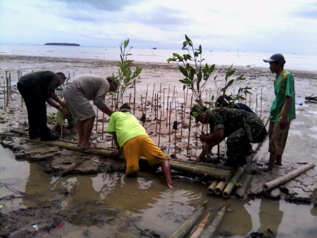 WWF Tanam 1100 Mangrove