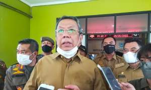 Walikota Tangerang Selatan, Benyamin Davnie