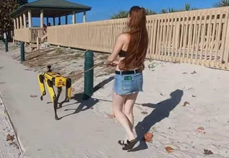 Lagi Tren di China Ajak Peliharaan Robot Jalan-jalan