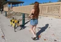 Lagi Tren di China Ajak Peliharaan Robot Jalan-jalan