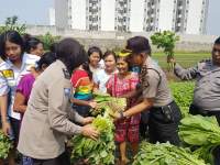 Petani Neglasari Keluhkan Sepi Pembeli, Kapolsek Borong Sayuran