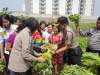 Petani Neglasari Keluhkan Sepi Pembeli, Kapolsek Borong Sayuran