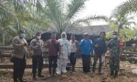 Pencegahan Penyakit Mulut dan Kuku, Polres Tanjungbalai Laksanakan Vaksinasi Hewan