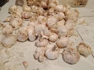 Pemprov Banten Gagal, Bawang Putih Bukannya Turun malah Tinggi