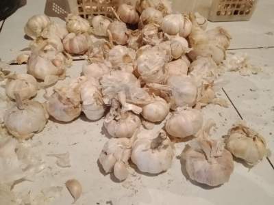 Pemprov Banten Gagal, Bawang Putih Bukannya Turun malah Tinggi